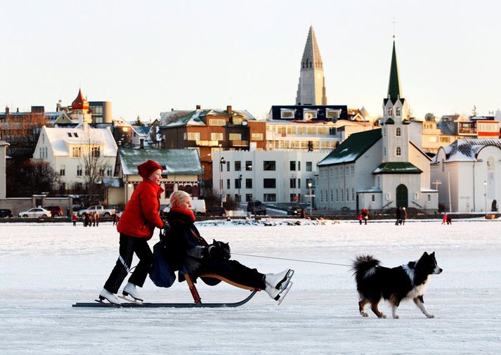 Reykjavíkurtjörn